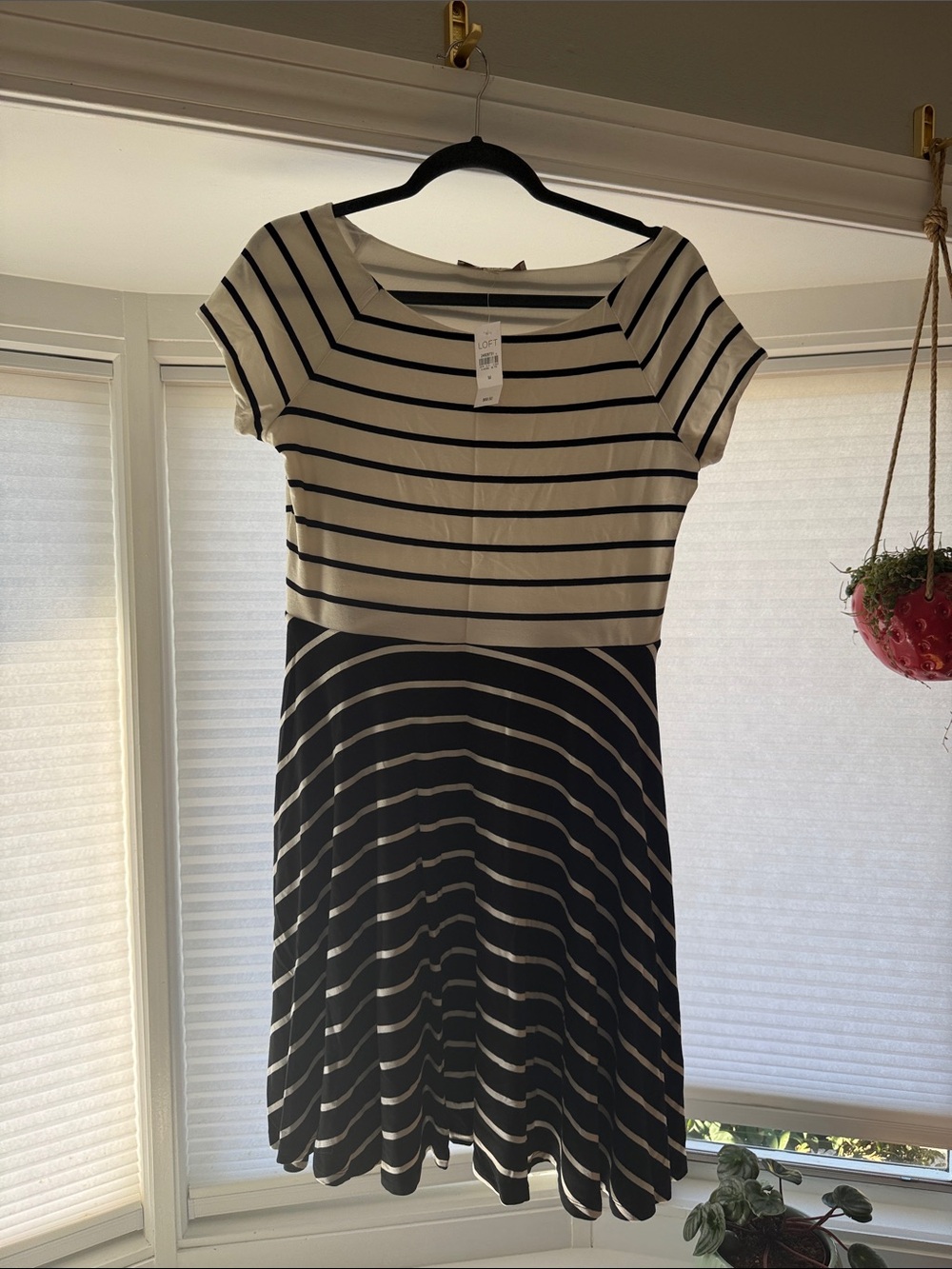 Loft- Striped Black and White Fit-and-Flare Dress
